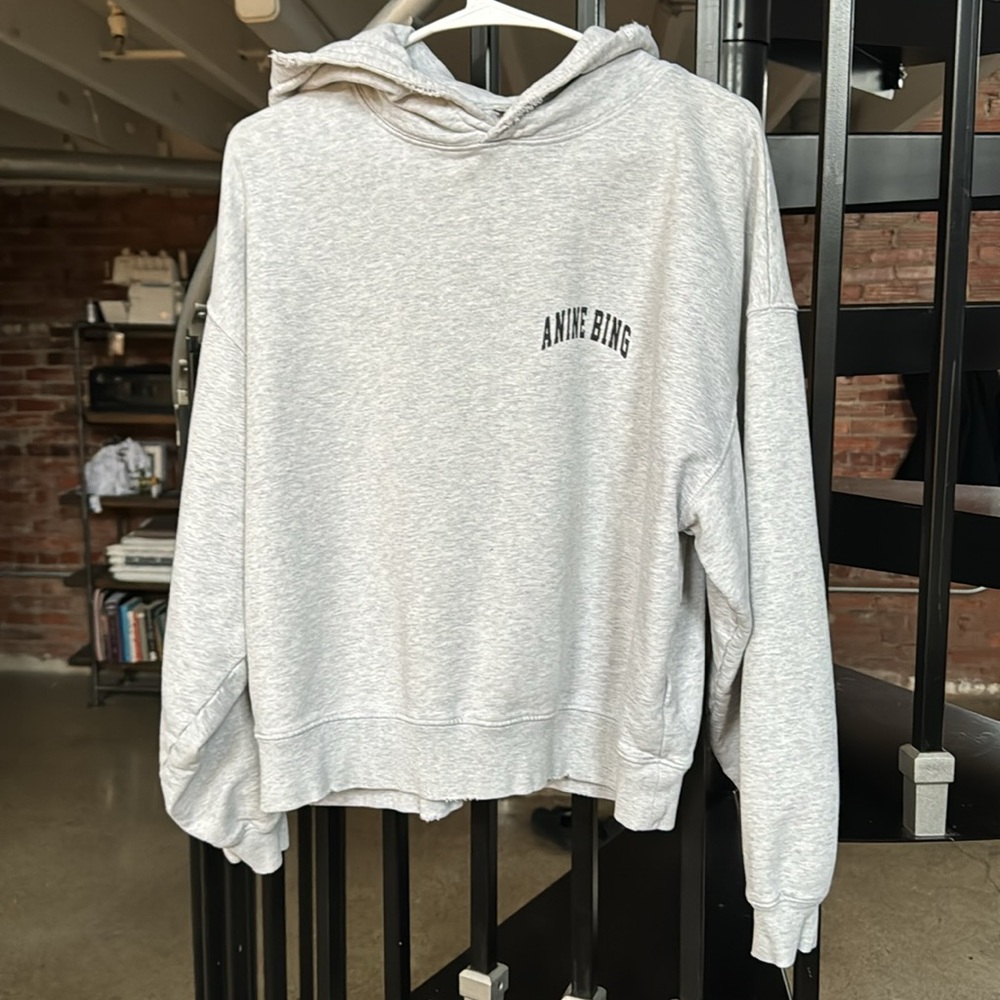 Anine Bing gray hoodie
